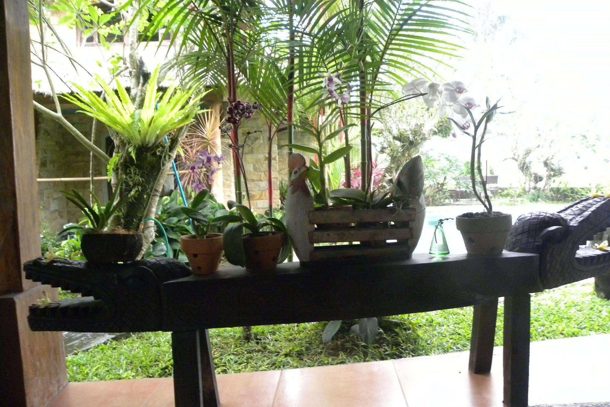 Saudara Home Ubud المظهر الخارجي الصورة