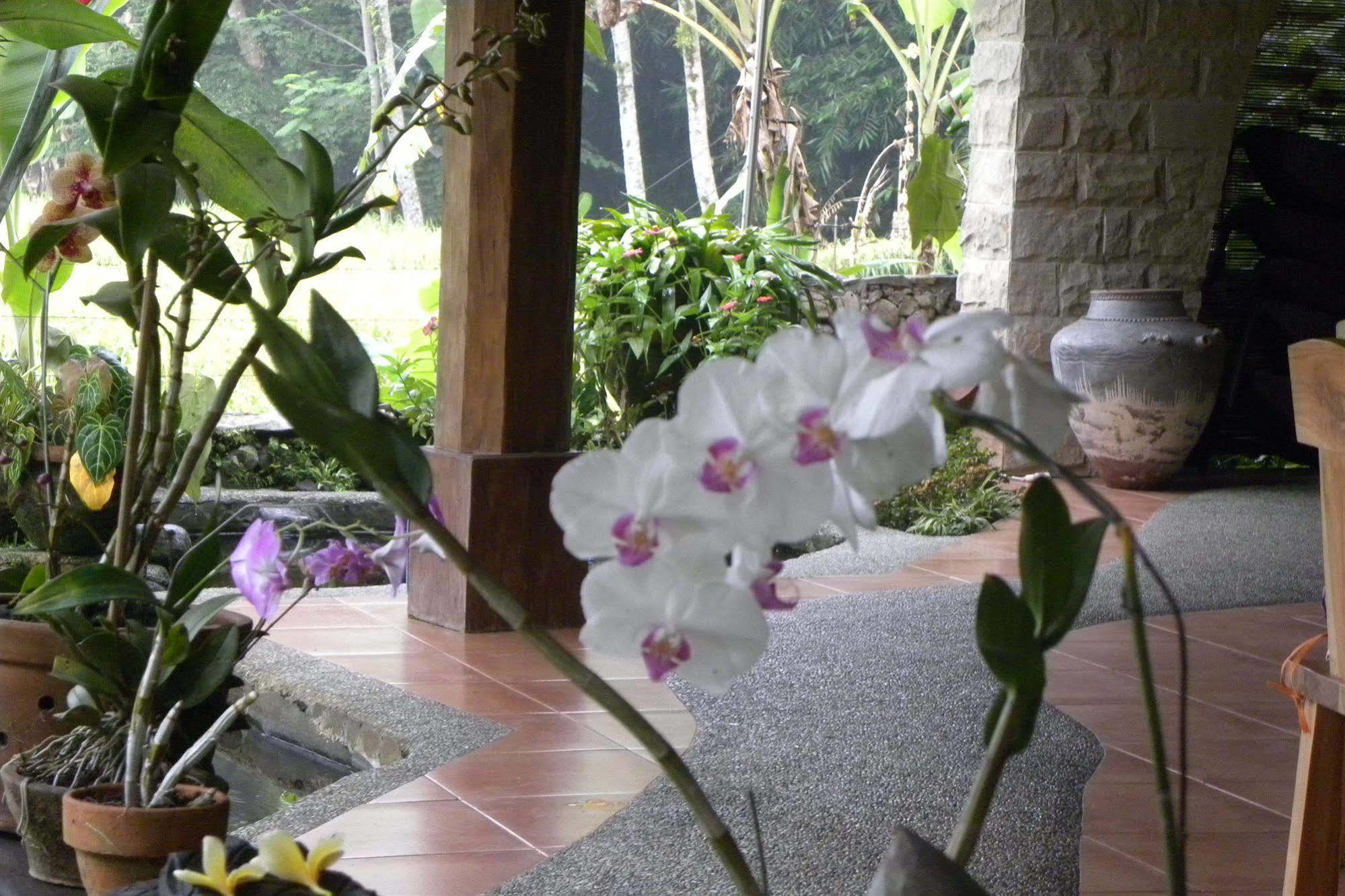 Saudara Home Ubud المظهر الخارجي الصورة