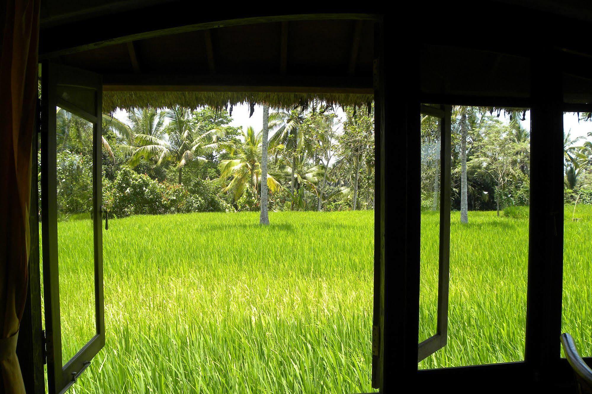 Saudara Home Ubud المظهر الخارجي الصورة