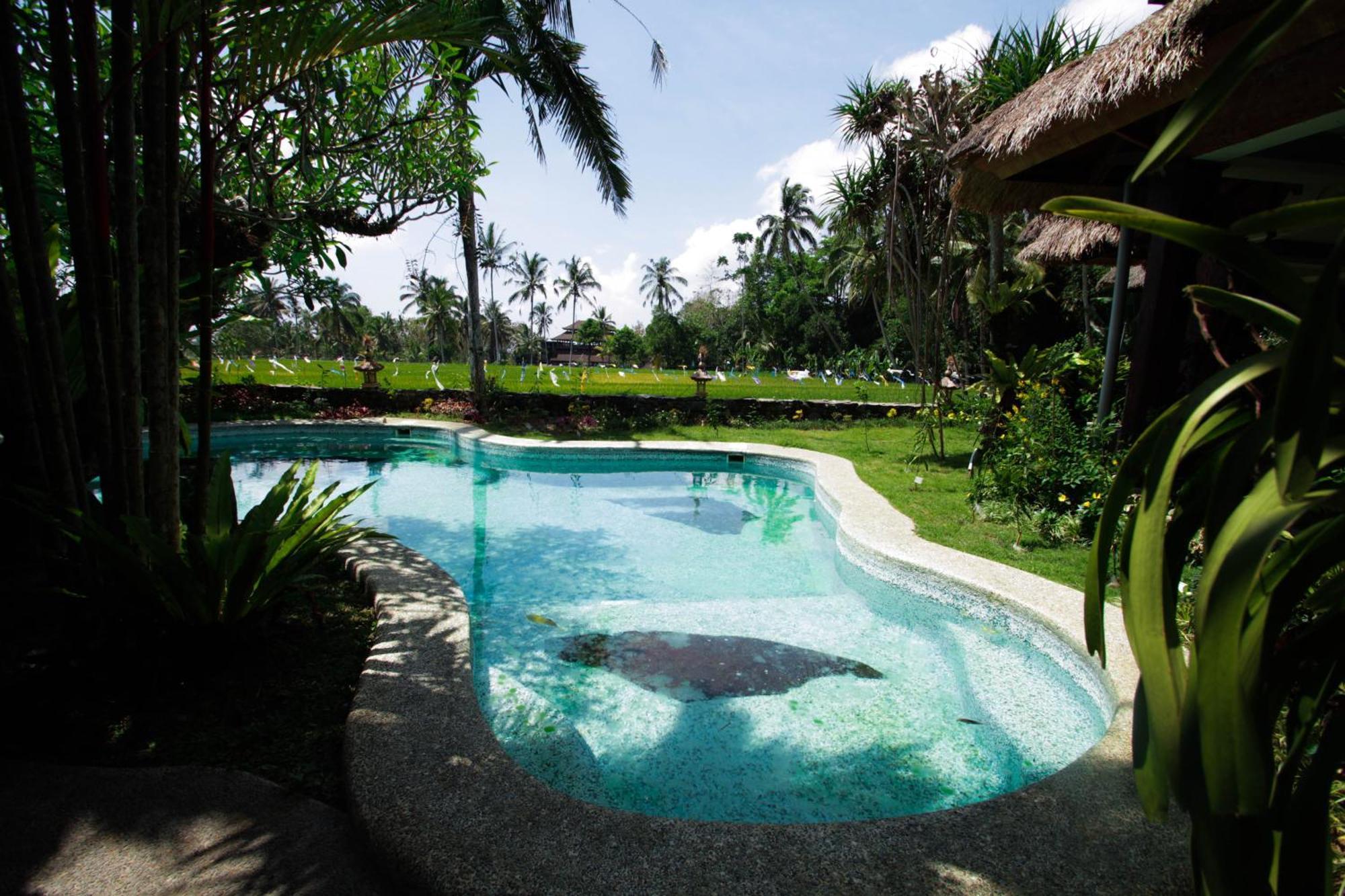 Saudara Home Ubud المظهر الخارجي الصورة